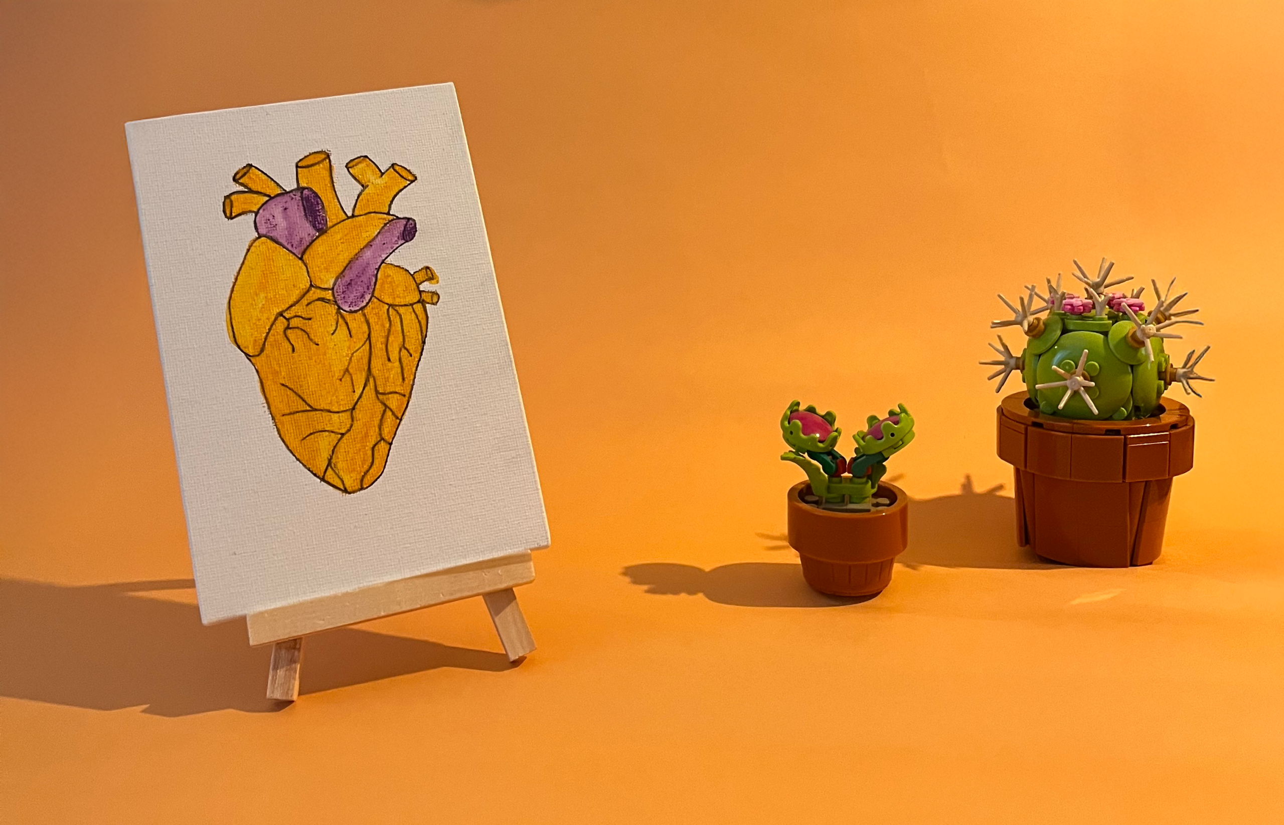 Photographie de l'oeuvre unique originale : un coeur anatomique