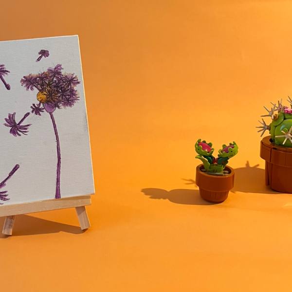 Photographie de l'oeuvre unique originale : un pissenlit sur lequel on a soufflé dont certains pistils s'échappent
