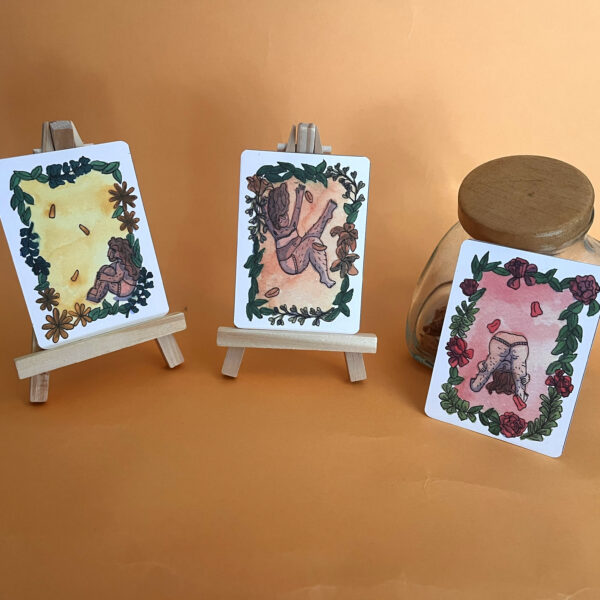 Photo des trois cartes mini-formats