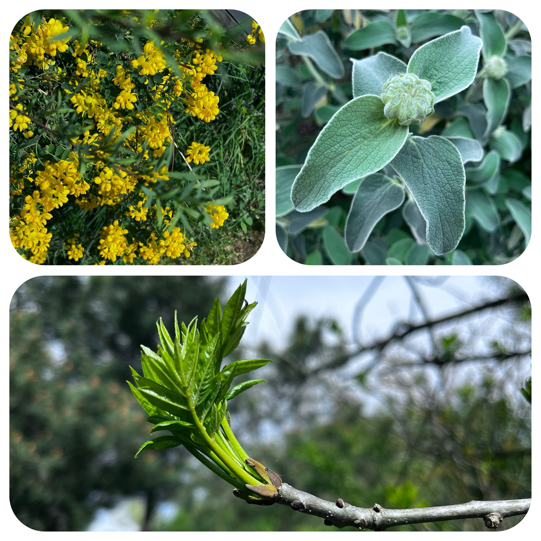 Nature diverse