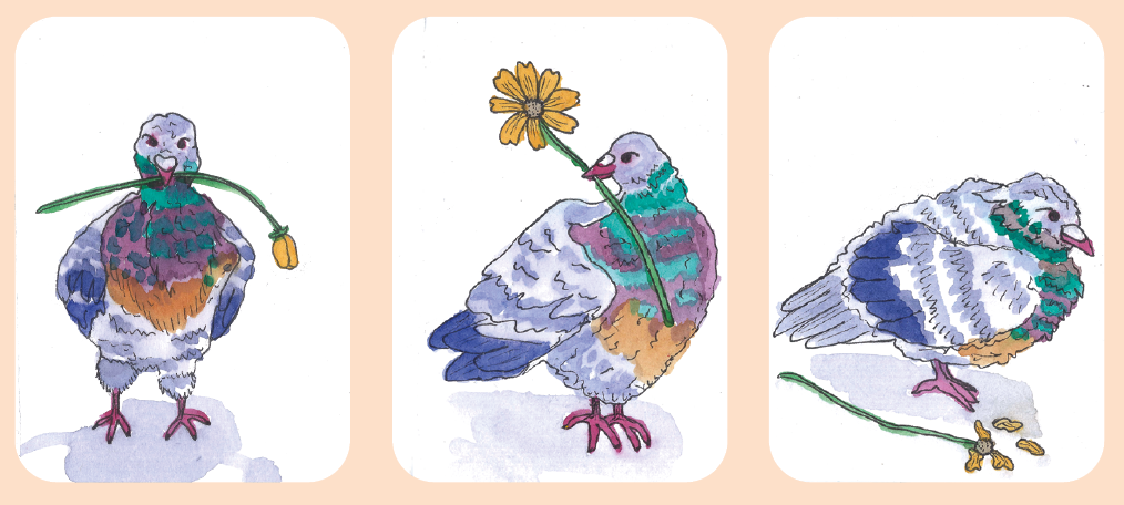 ATC de pigeons