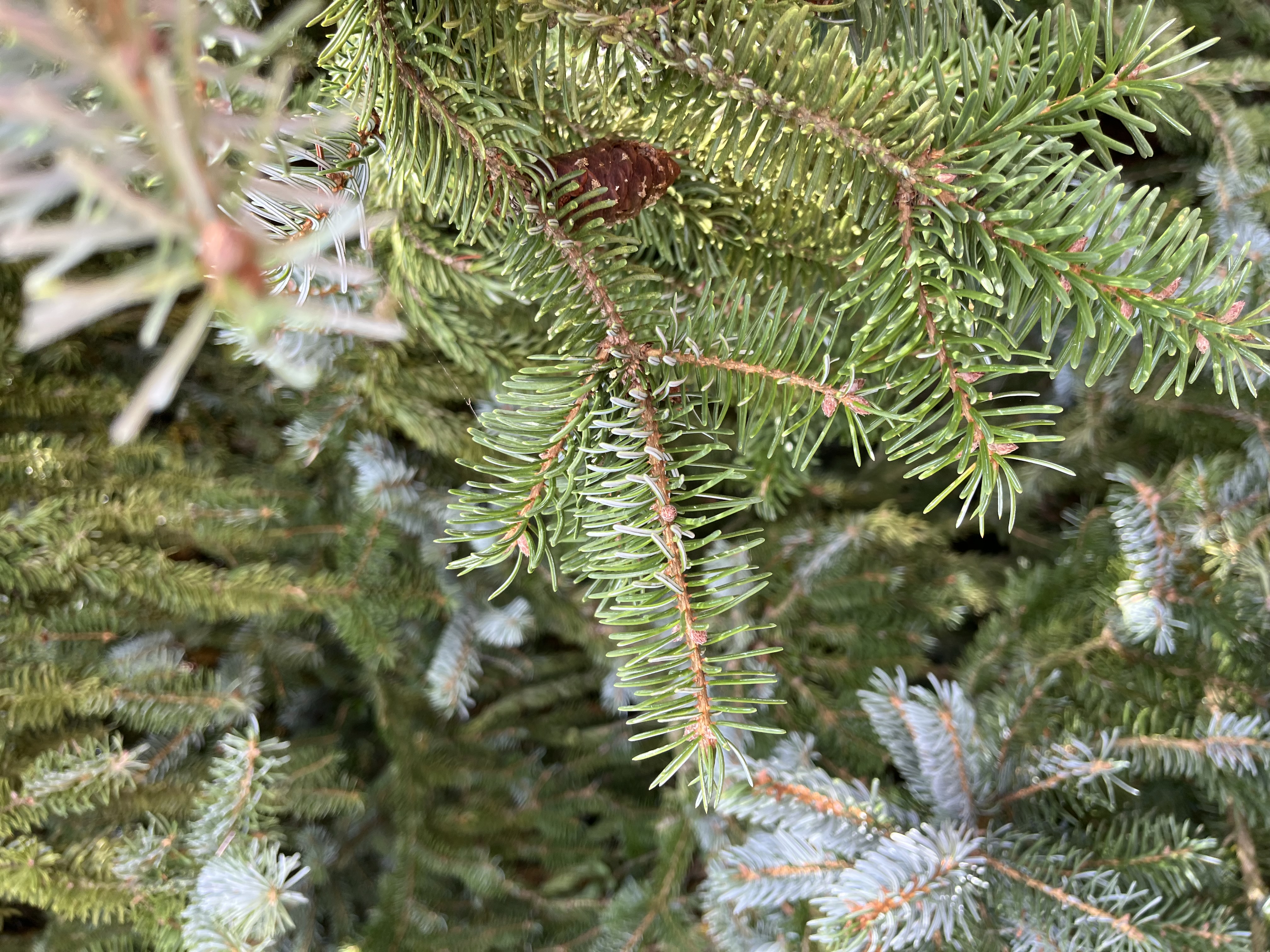 Photo de la balade
